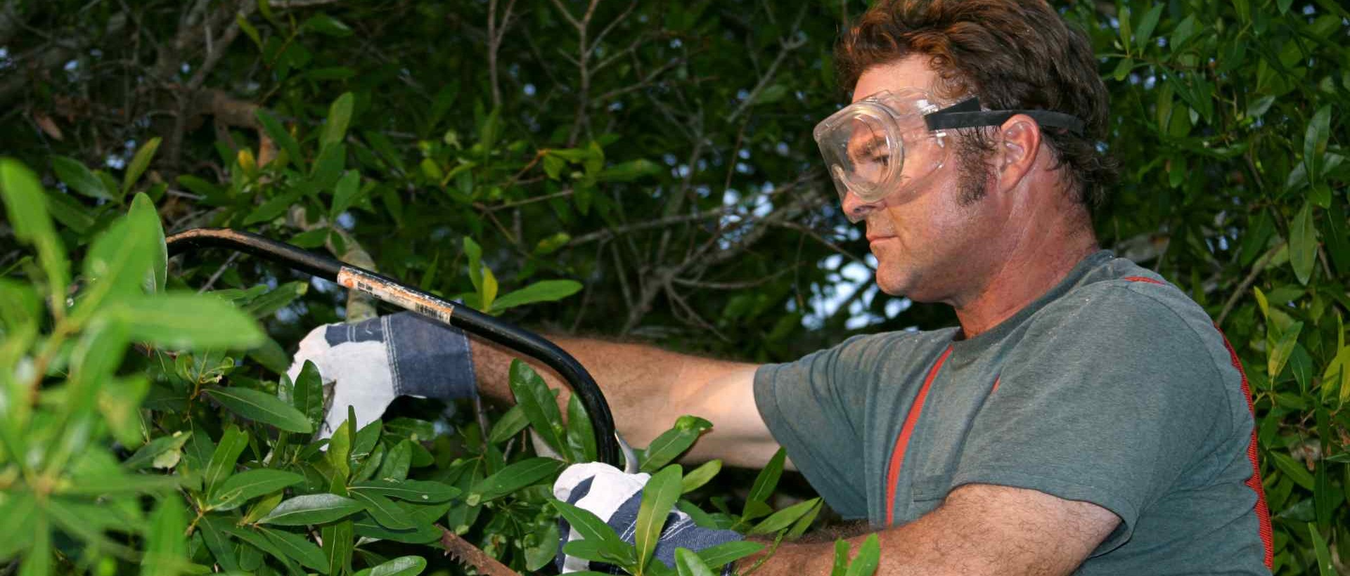 garden clearance HA7